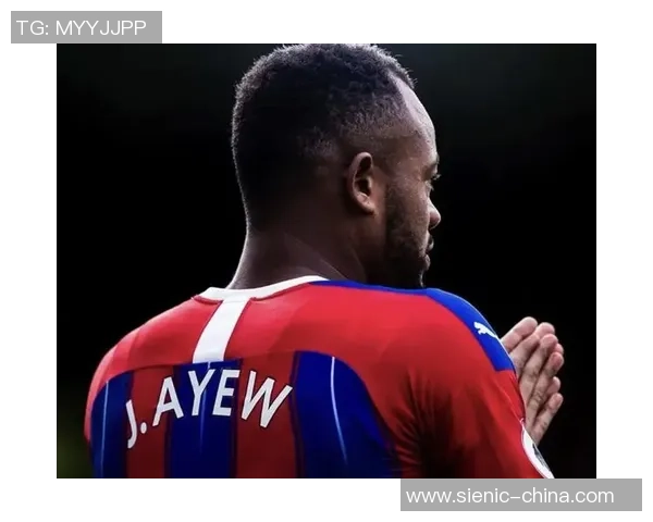 加纳足球传奇球星回顾：从阿尤兄弟到吉安的辉煌历程