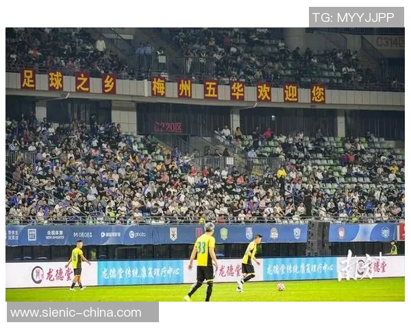 从脚下力量到荣耀征程探索足球明星战靴背后的科技与激情