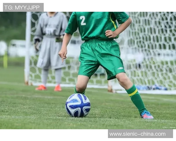 所以引领绿茵风暴现役足球巨星传奇与未来发展解析 所以引领绿茵风暴现役足球巨星传奇与未来发展解析