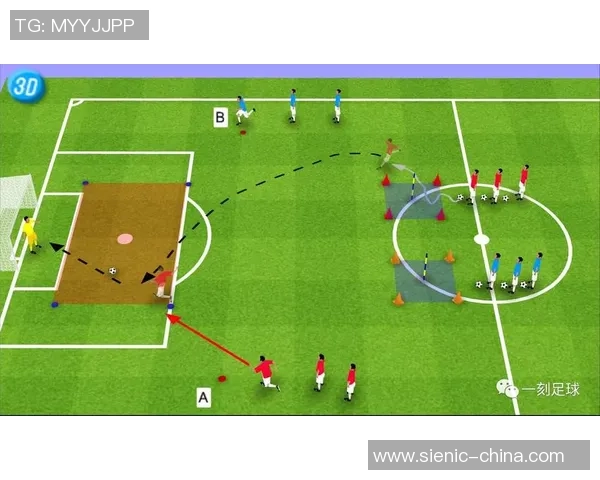 如何系统培养足球球星从青训到职业生涯的全方位发展路径解析 如何系统培养足球球星从青训到职业生涯的全方位发展路径解析