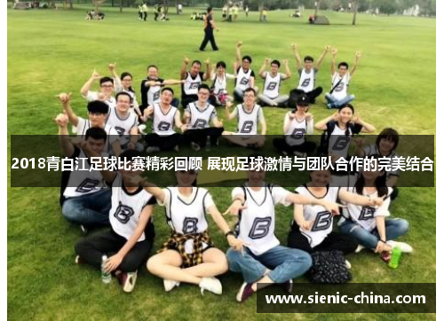 2018青白江足球比赛精彩回顾 展现足球激情与团队合作的完美结合