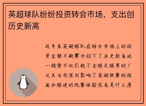 英超球队纷纷投资转会市场，支出创历史新高